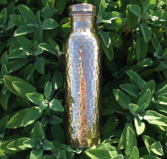 The Importance of Ensuring Proper Hydration While You Are in the Forest