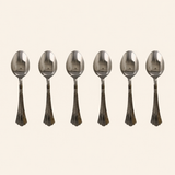 Nutristar stainless steel dinner spoons set of 6 with decorative handles