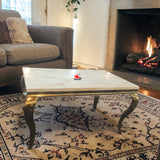Nutristar Luxury Marble Finish Dining Table with Curved Metal Legs