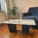 Nutristar Marble Finish Dining Table with Solid Designer Base