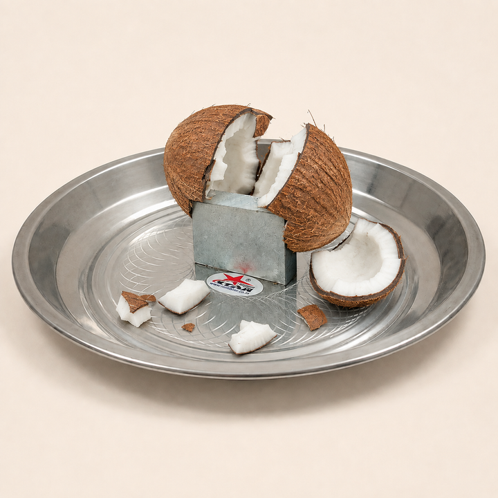 Nutristar stainless steel coconut breaker with center striking block