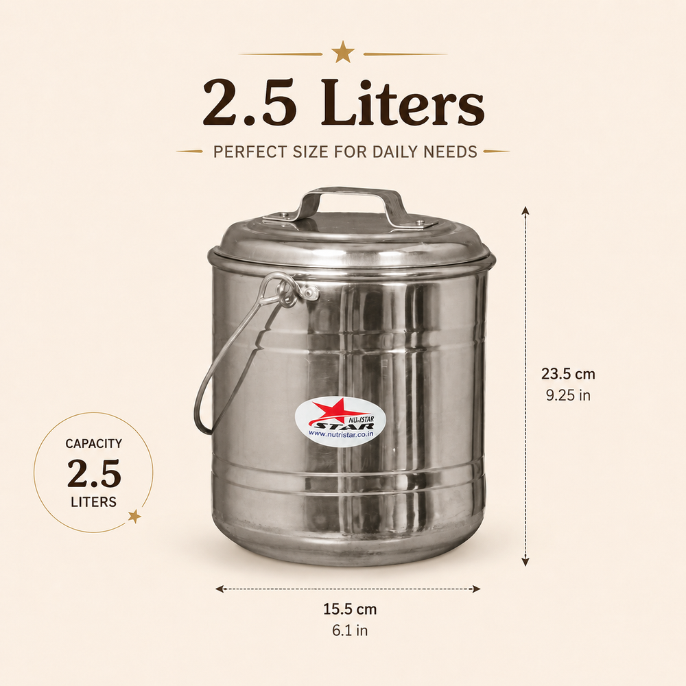 Nutristar stainless steel storage container with lid and carry handle