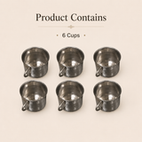 Nutristar stainless steel tea and coffee cups with handles set of 6