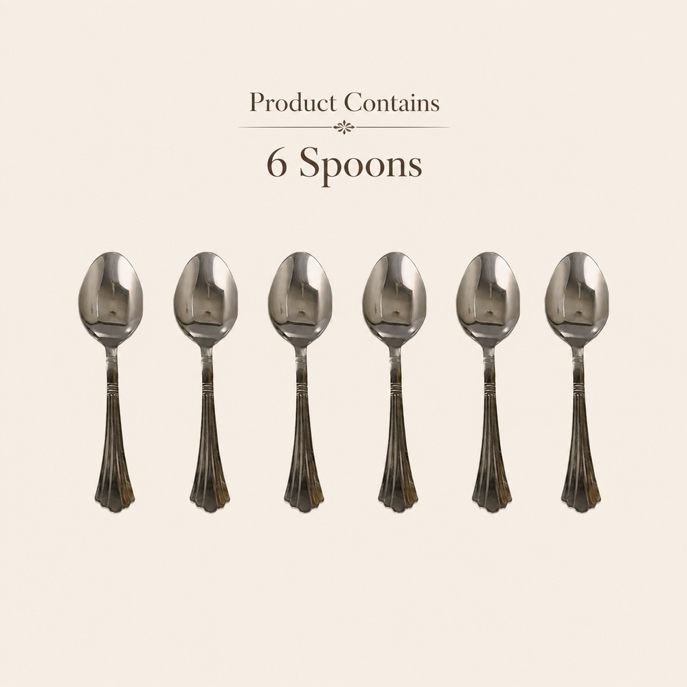 Nutristar stainless steel dinner spoons set of 6 with decorative handles