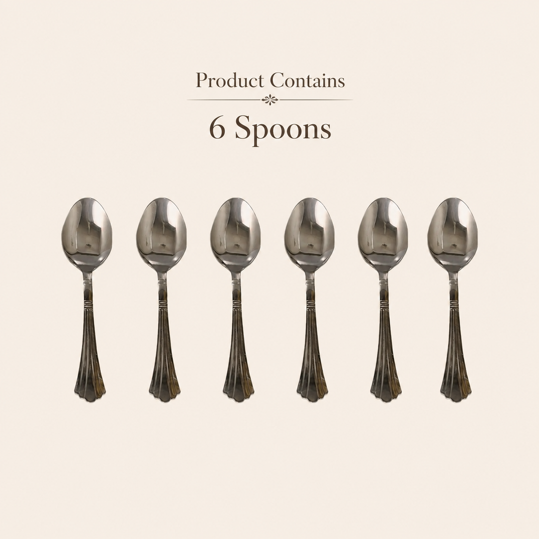 Nutristar stainless steel dinner spoons set of 6 with decorative handles